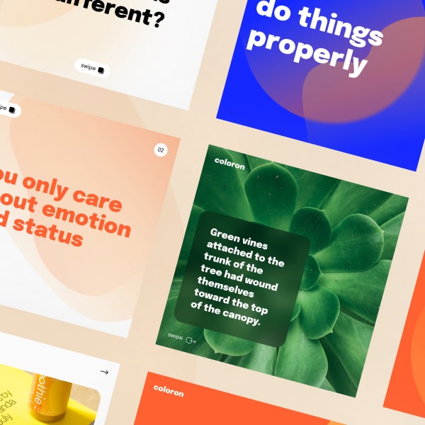 Portfolio project